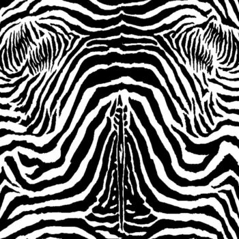 Zebra mintás kárpit ZOE C01