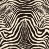 Zebra mintás kárpit ZOE -c02