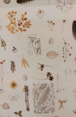 Természet toll termés pamutvászon