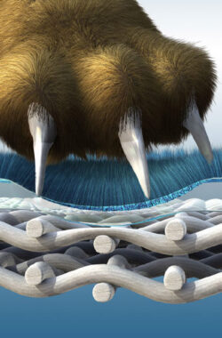 Állatbarát bútorszövet