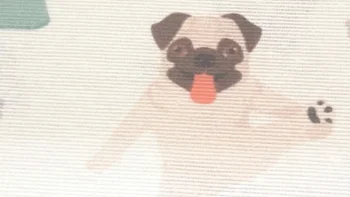 Pug Yoga loneta13p vászon 280cm dupla egy kutya