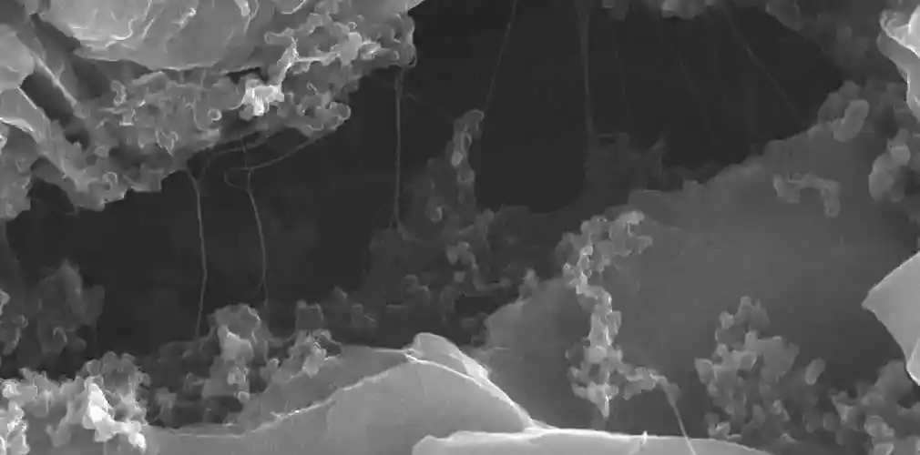 Szén nanocsövek grafén mikroszkópikus